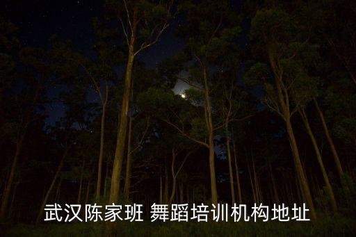 武汉陈家班 舞蹈培训机构地址