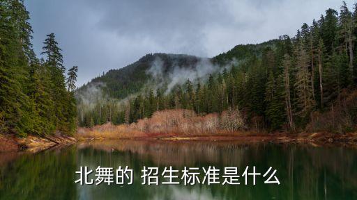 北舞的 招生标准是什么
