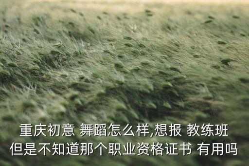 重庆初意 舞蹈怎么样,想报 教练班但是不知道那个职业资格证书 有用吗