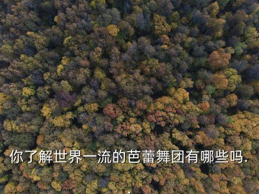你了解世界一流的芭蕾舞团有哪些吗..