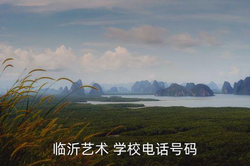 临沂市舞蹈培训学校,华翎舞蹈培训学校是正规的吗