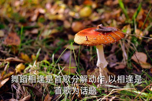  舞蹈相逢是首歌分解动作,以相逢是首歌为话题