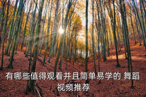 有哪些值得观看并且简单易学的 舞蹈 视频推荐