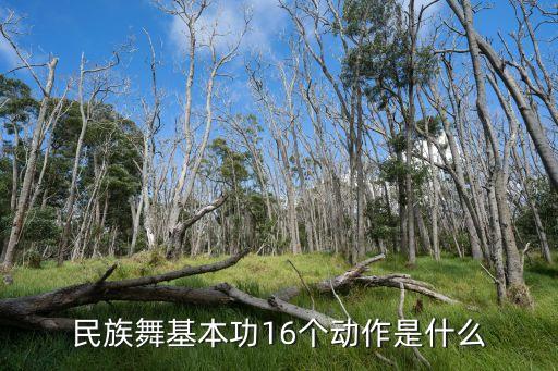 民族舞基本功16个动作是什么