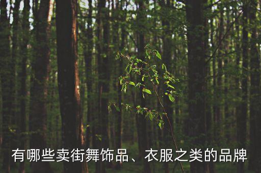有哪些卖街舞饰品、衣服之类的品牌