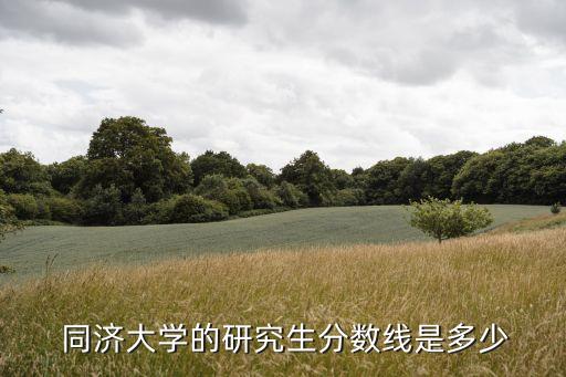 上海同济大学舞蹈系,同济大学舞蹈系招生简章