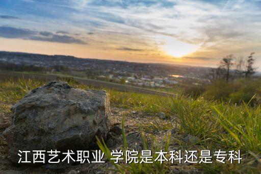 江西艺术职业 学院是本科还是专科