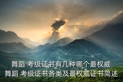 舞蹈 考级证书有几种哪个最权威 舞蹈 考级证书各类及最权威证书简述