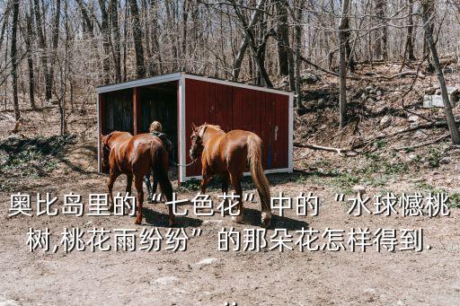 奥比岛里的“七色花”中的“水球憾桃树,桃花雨纷纷”的那朵花怎样得到...