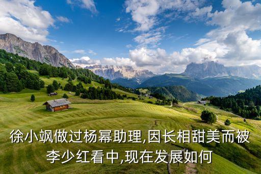 徐小飒做过杨幂助理,因长相甜美而被李少红看中,现在发展如何