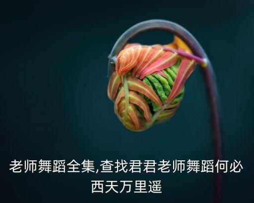 君君老师舞蹈全集,查找君君老师舞蹈何必西天万里遥
