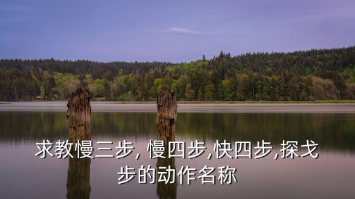 舞蹈慢四粤语教学讲解,慢四步舞蹈基本步教学视频