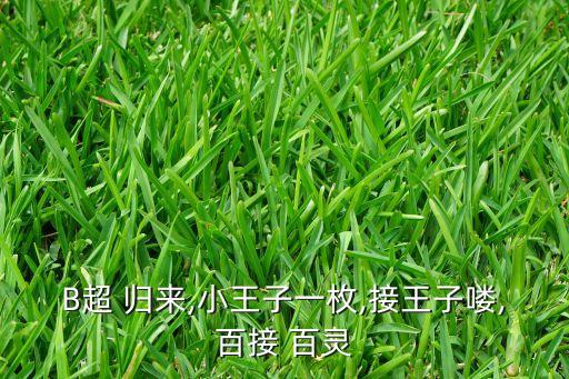 B超 归来,小王子一枚,接王子喽,百接 百灵