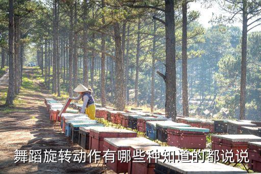  舞蹈旋转动作有哪些种知道的都说说