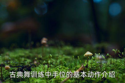 古典舞训练中手位的基本动作介绍