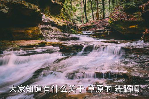 大家知道有什么关于 草原的 舞蹈吗