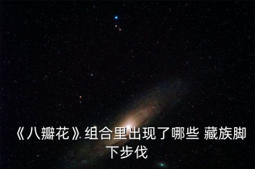 《八瓣花》组合里出现了哪些 藏族脚下步伐