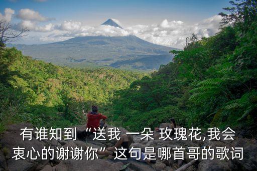 有谁知到“送我 一朵 玫瑰花,我会衷心的谢谢你”这句是哪首哥的歌词