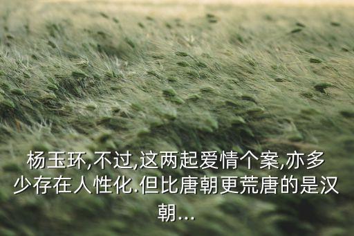杨玉环,不过,这两起爱情个案,亦多少存在人性化.但比唐朝更荒唐的是汉朝...