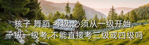 孩子 舞蹈 考级,必须从一级开始,一级一级考,不能直接考三级或四级吗