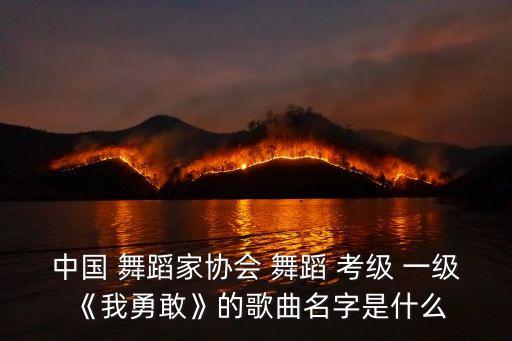 中国 舞蹈家协会 舞蹈 考级 一级《我勇敢》的歌曲名字是什么