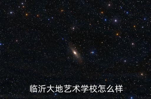  临沂大地艺术学校怎么样