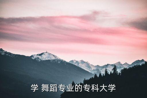 学 舞蹈专业的专科大学