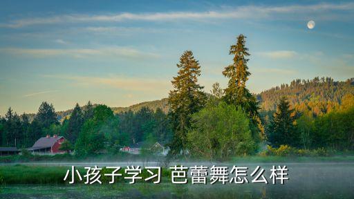 小孩子学习 芭蕾舞怎么样