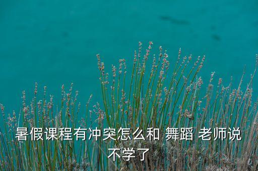 暑假课程有冲突怎么和 舞蹈 老师说不学了