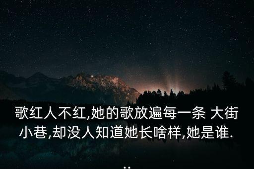 歌红人不红,她的歌放遍每一条 大街小巷,却没人知道她长啥样,她是谁...