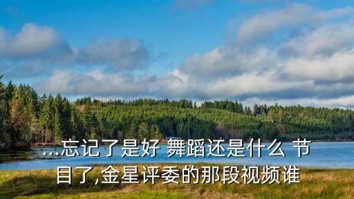 ...忘记了是好 舞蹈还是什么 节目了,金星评委的那段视频谁