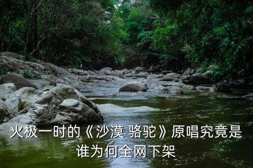 沙漠骆驼舞蹈视频教学分解,沙漠骑骆驼去哪里旅游
