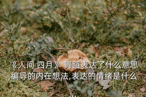 四月抒怀幼儿舞蹈