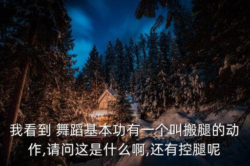 我看到 舞蹈基本功有一个叫搬腿的动作,请问这是什么啊,还有控腿呢