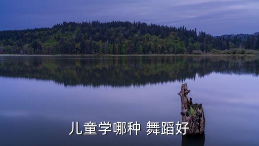 儿童学哪种 舞蹈好