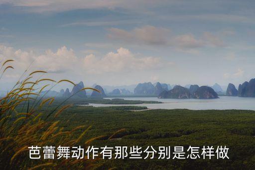  芭蕾舞动作有那些分别是怎样做