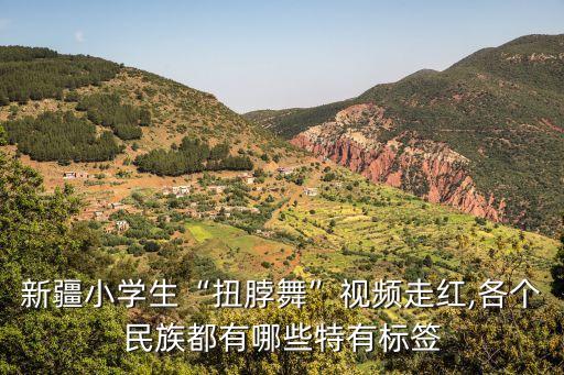 回族舞蹈简单动作图片,花儿与少年回族舞蹈分解动作