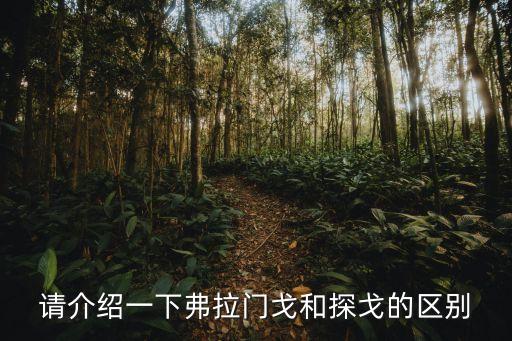 请介绍一下弗拉门戈和探戈的区别
