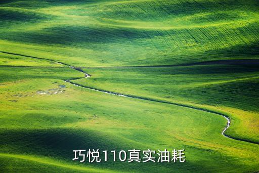 巧悦110真实油耗