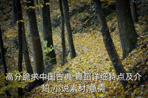 高分跪求中国古典 舞蹈详细特点及介绍,小说素材,急需