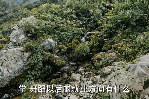 学 舞蹈以后的就业方向有什么