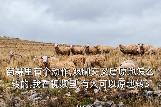 街舞里有个动作,双脚交叉后原地怎么转的,我看视频里,有人可以原地转3...