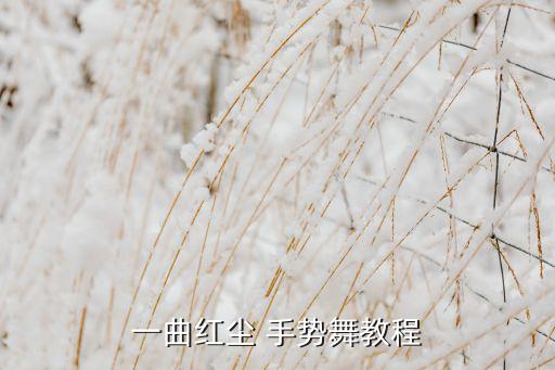 一曲红尘 手势舞教程
