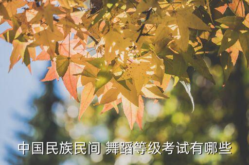 中国民族民间 舞蹈等级考试有哪些