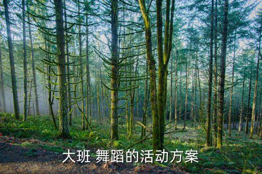 大班 舞蹈的活动方案