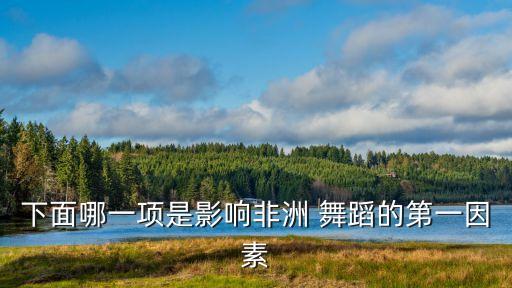 下面哪一项是影响非洲 舞蹈的第一因素