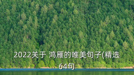2022关于 鸿雁的唯美句子(精选64句