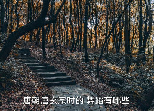 人体本身是舞蹈的什么,舞蹈对人体有什么好处