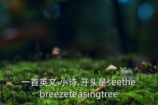 舞蹈 小诗,形容舞蹈惊艳的诗