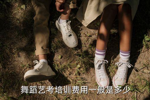 湖州舞蹈学费,湖州成人舞蹈培训班